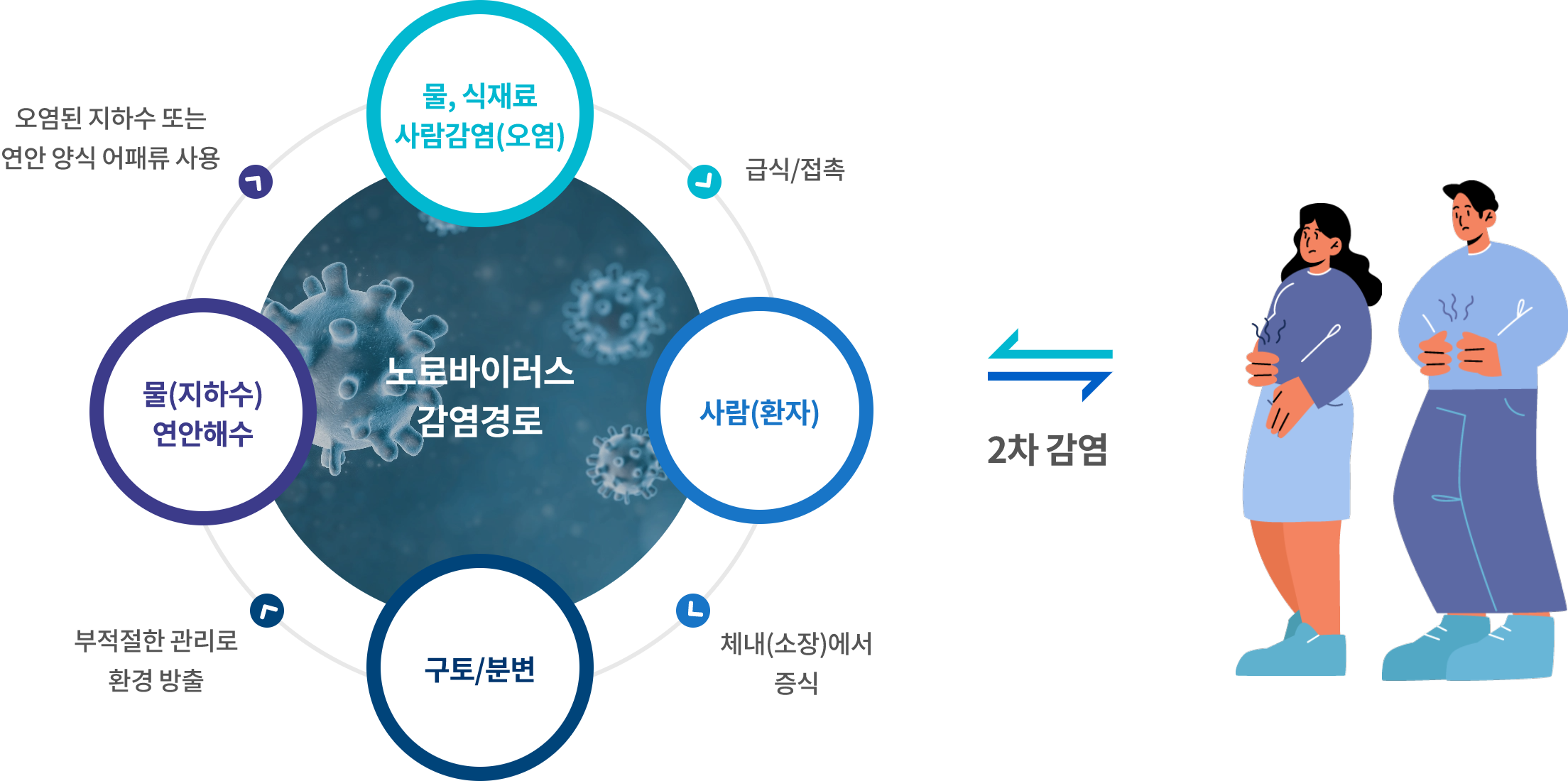 노로바이러스 감염경로 이미지